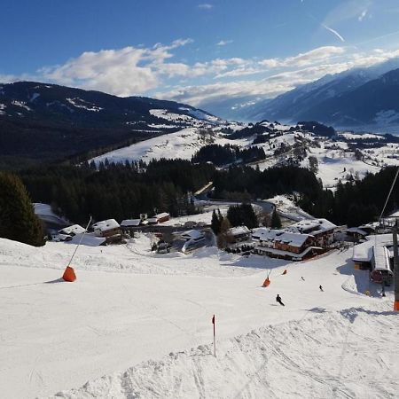 Panorama Chalet Mittersill Bagian luar foto